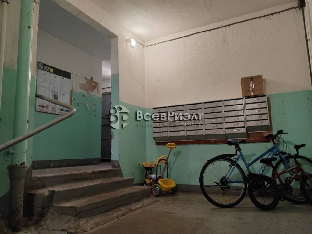 38изображение whatsapp 2025-10-31 в 14.22.03_b8c6c6b2