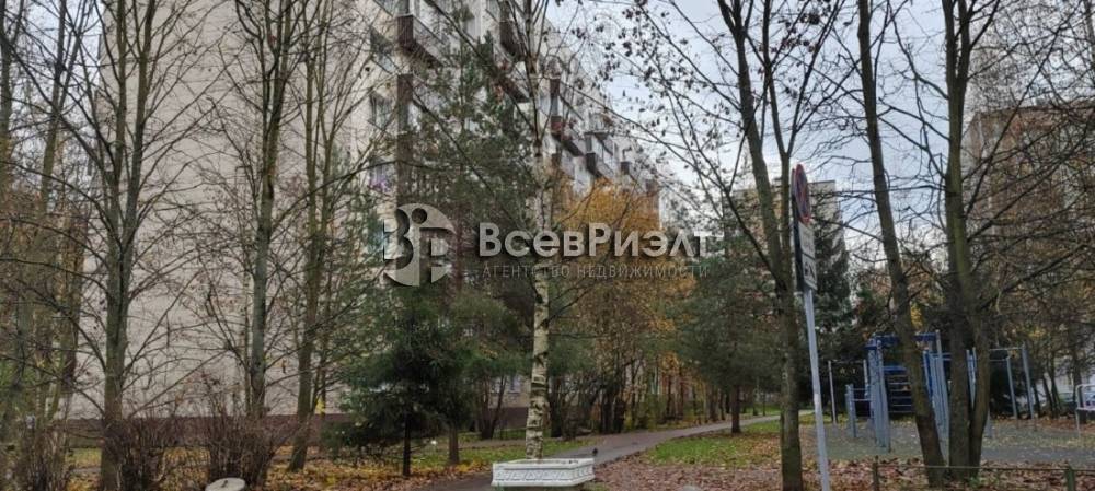 39изображение whatsapp 2025-10-31 в 14.22.02_65febafe