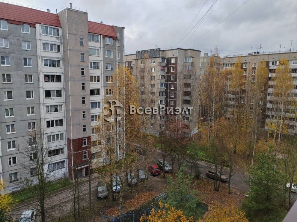 40изображение whatsapp 2025-10-31 в 14.22.04_b4d5a34a