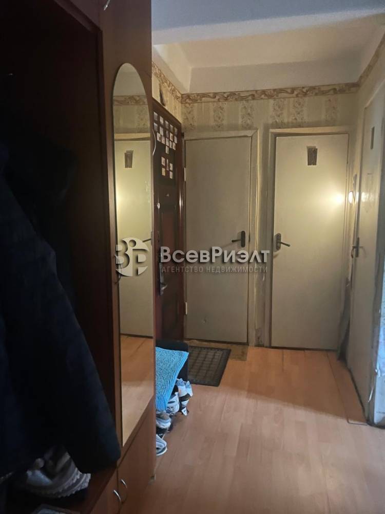 2изображение whatsapp 2025-10-31 в 16.08.12_2f3f3298