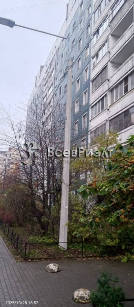 11изображение whatsapp 2025-10-31 в 16.08.17_6520a79b