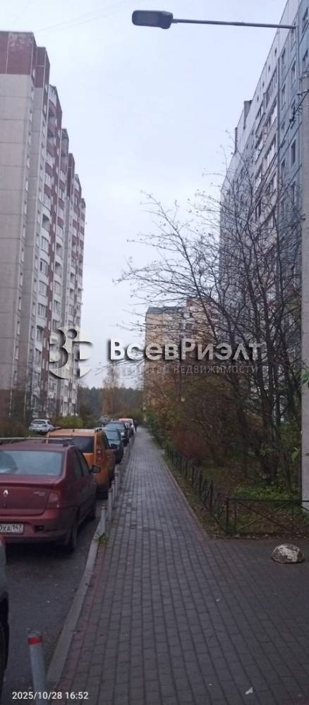 12изображение whatsapp 2025-10-31 в 16.08.17_c3166b10