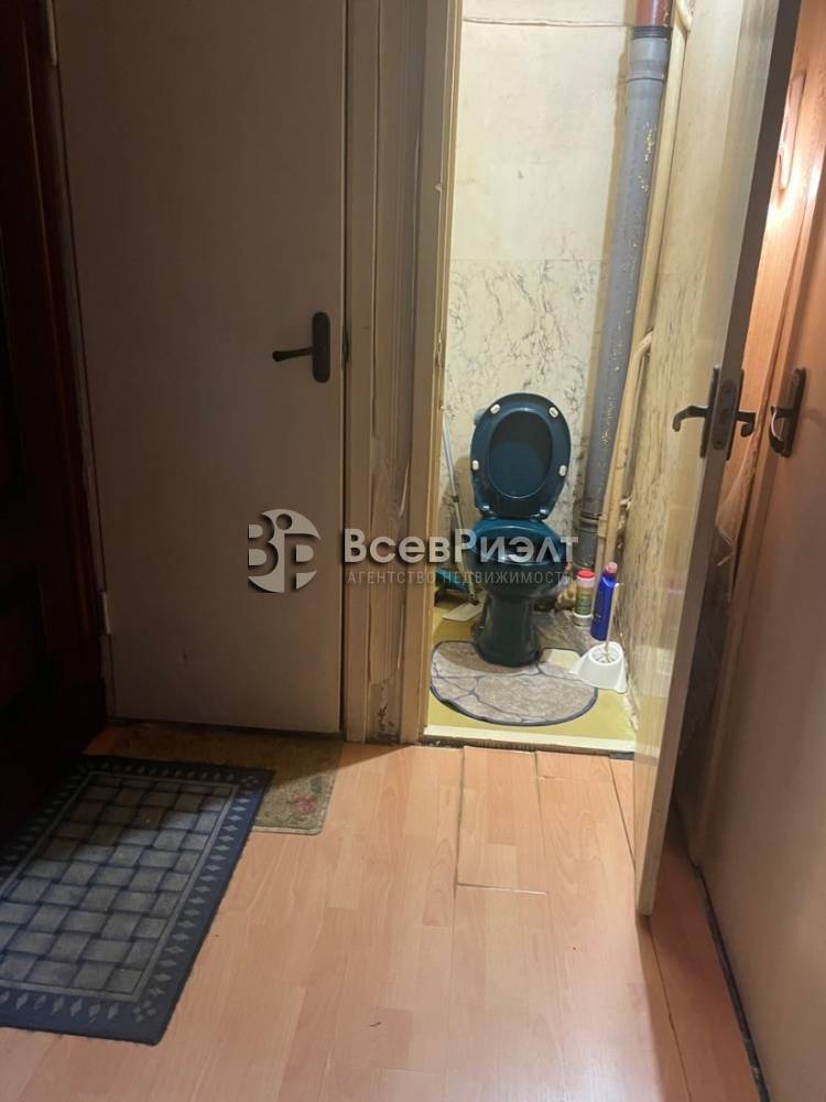 9изображение whatsapp 2025-10-31 в 16.08.10_d3ab735d