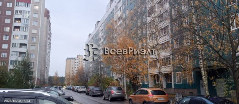 10изображение whatsapp 2025-10-31 в 16.08.16_d55492a1