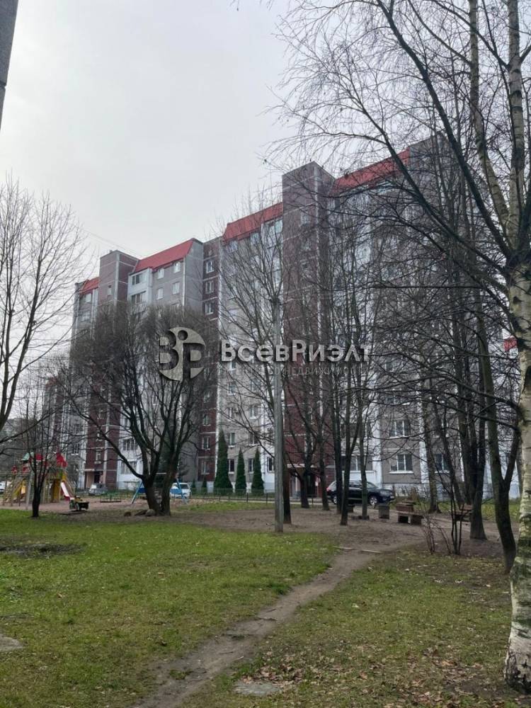 11изображение whatsapp 2025-11-11 в 12.31.30_715a9a39