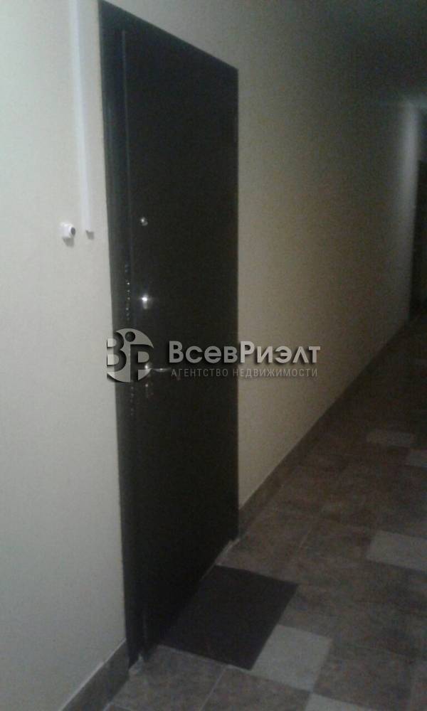 5изображение whatsapp 2025-06-20 в 16.56.32_d5ce7d34