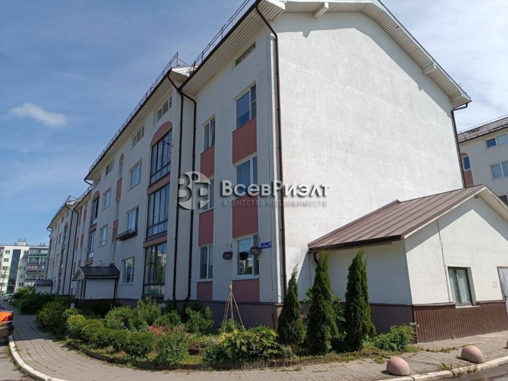 9изображение whatsapp 2025-06-20 в 16.56.30_5b4e9709