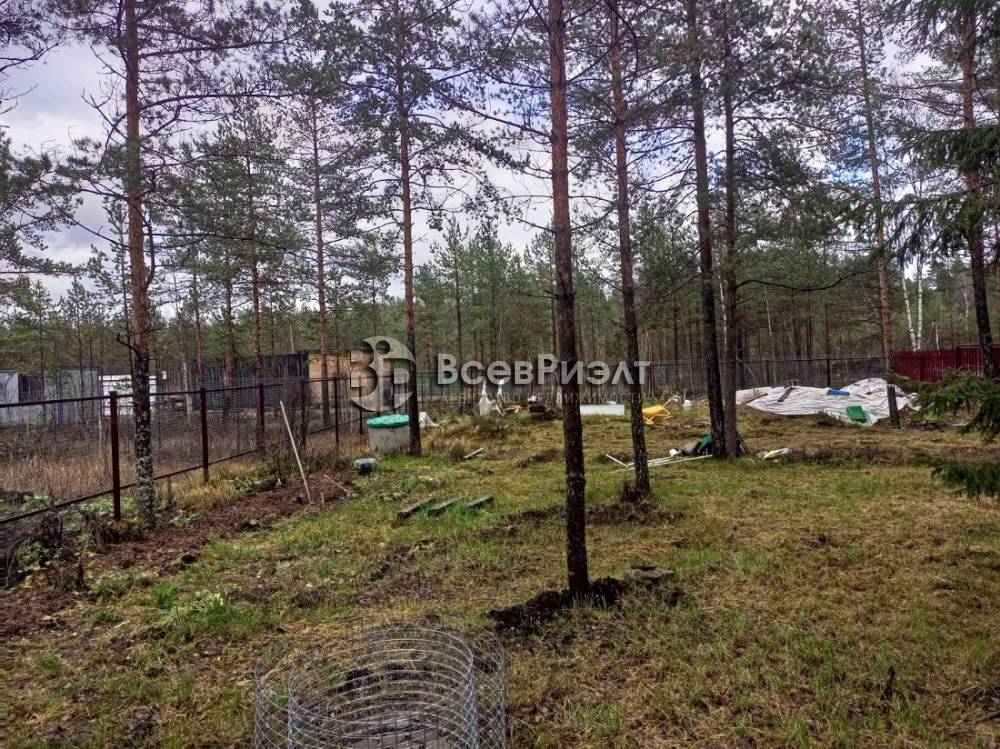 img_20251104_124835_461