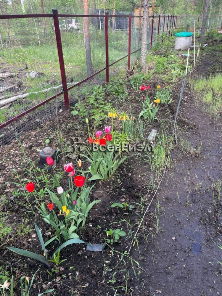 kaimg-20251116-wa0020