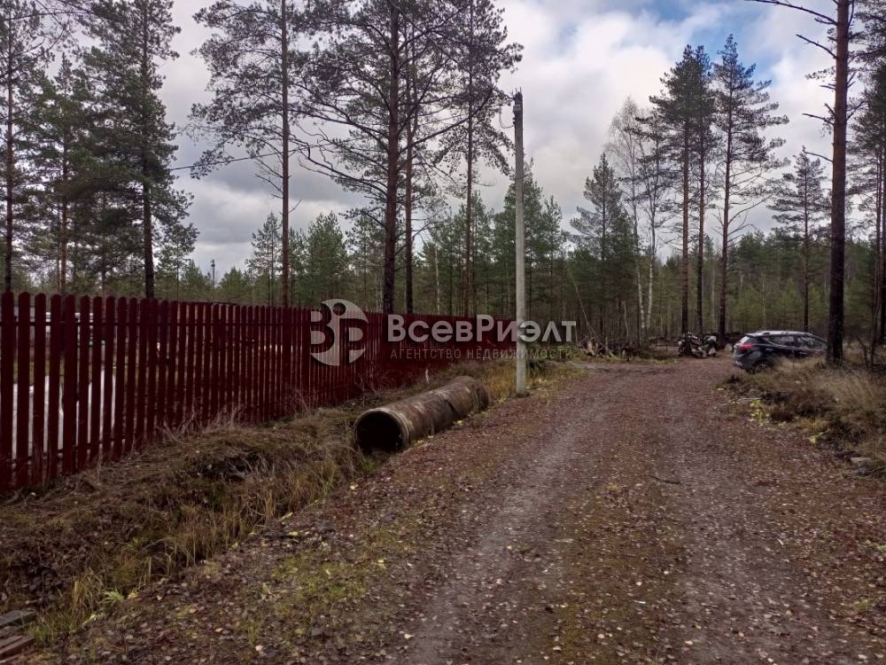 img_20251104_124507_693