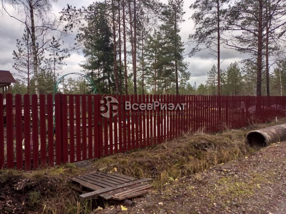 img_20251104_124510_085