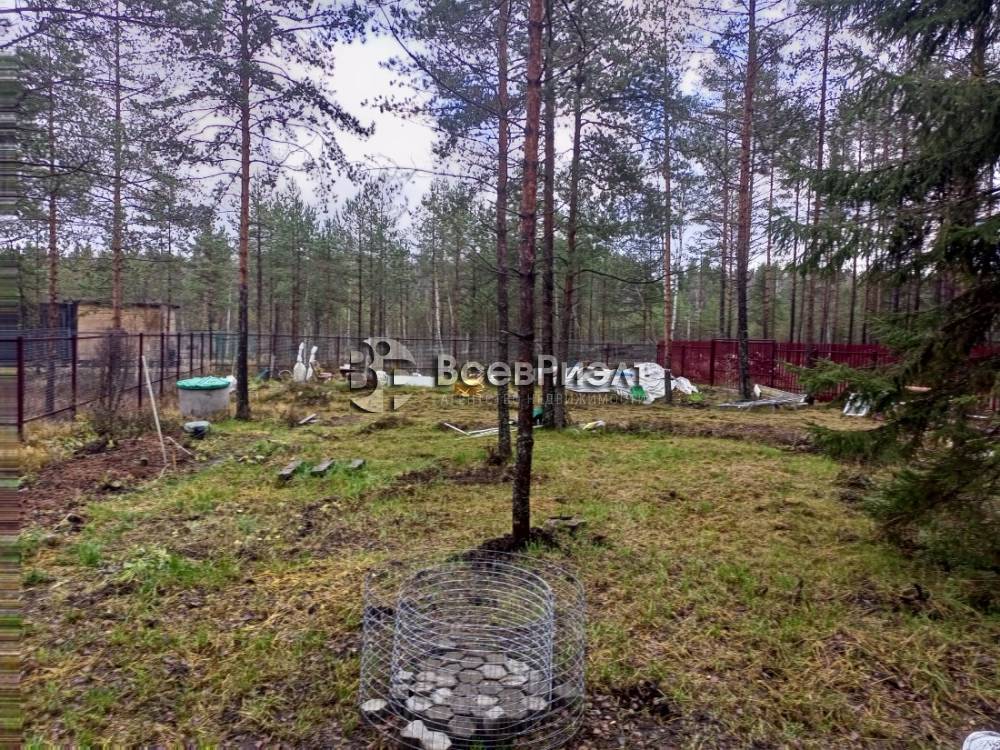 img_20251104_124636_281