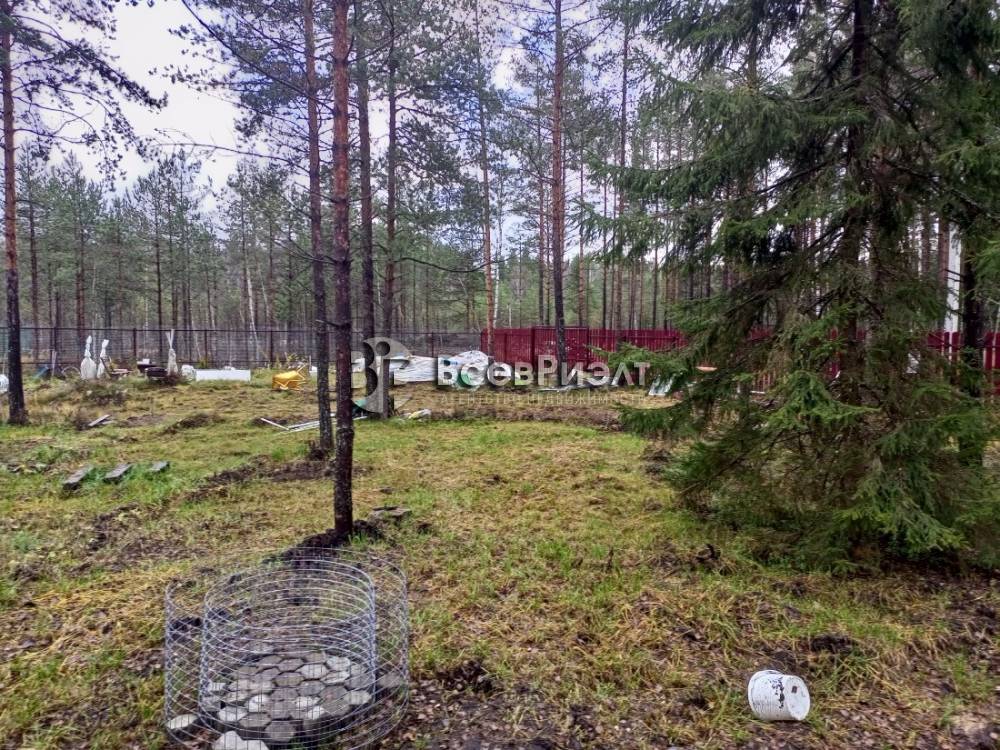 img_20251104_124637_711