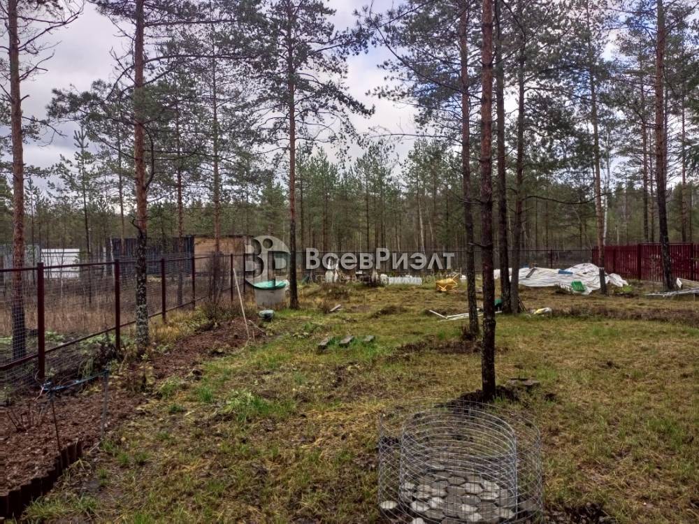 img_20251104_124639_163