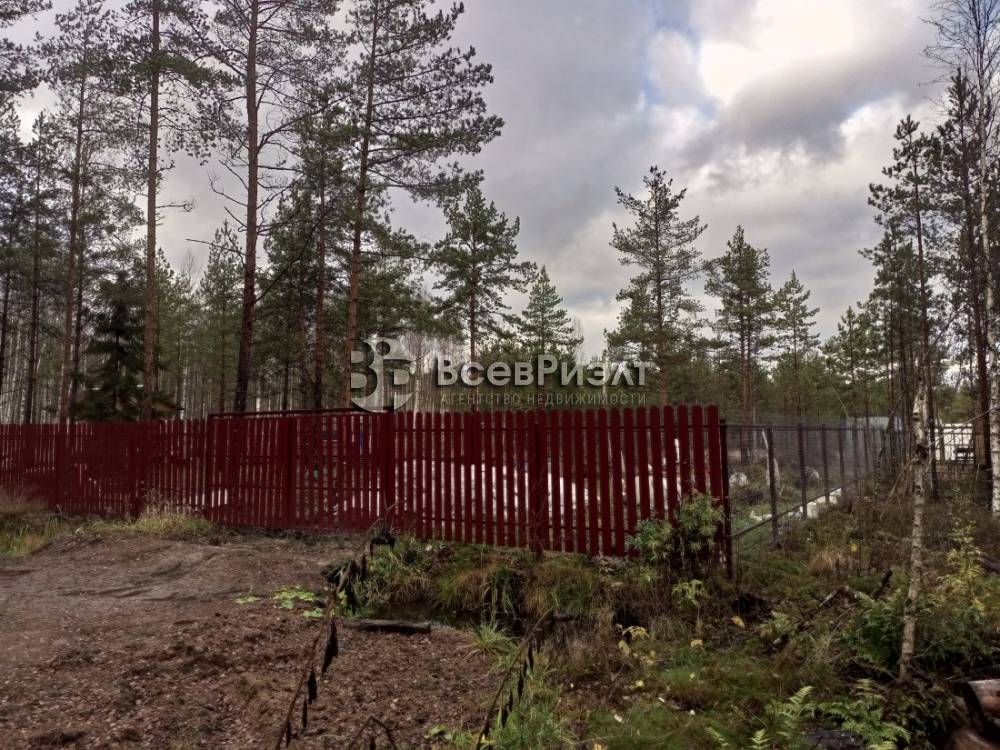 img_20251104_124333_127