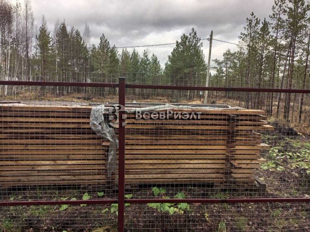 img_20251104_125053_220