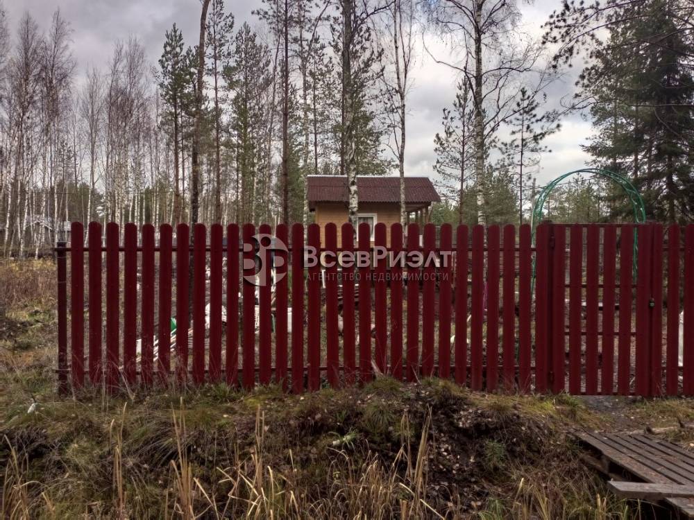 img_20251104_124512_405