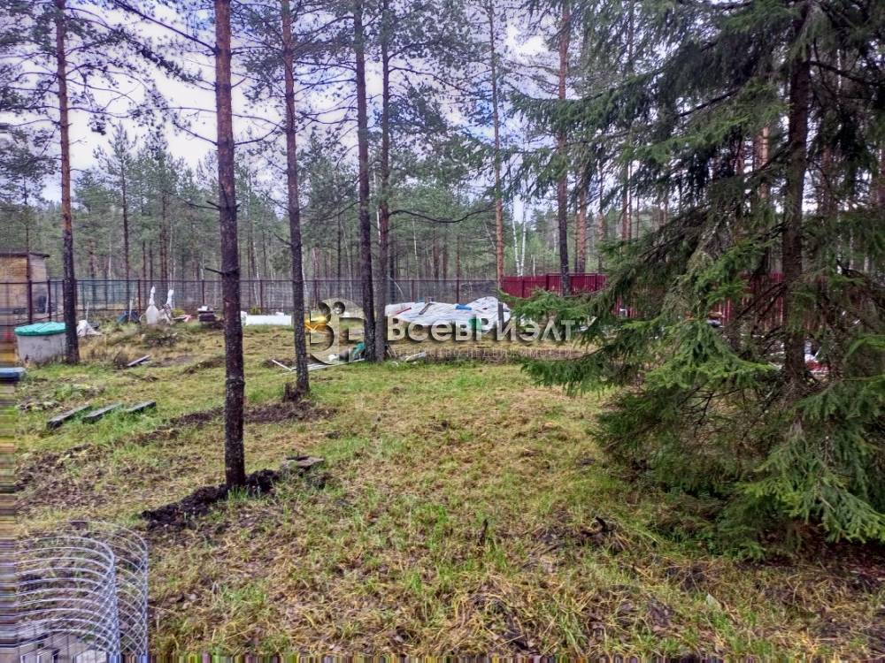 img_20251104_124832_775