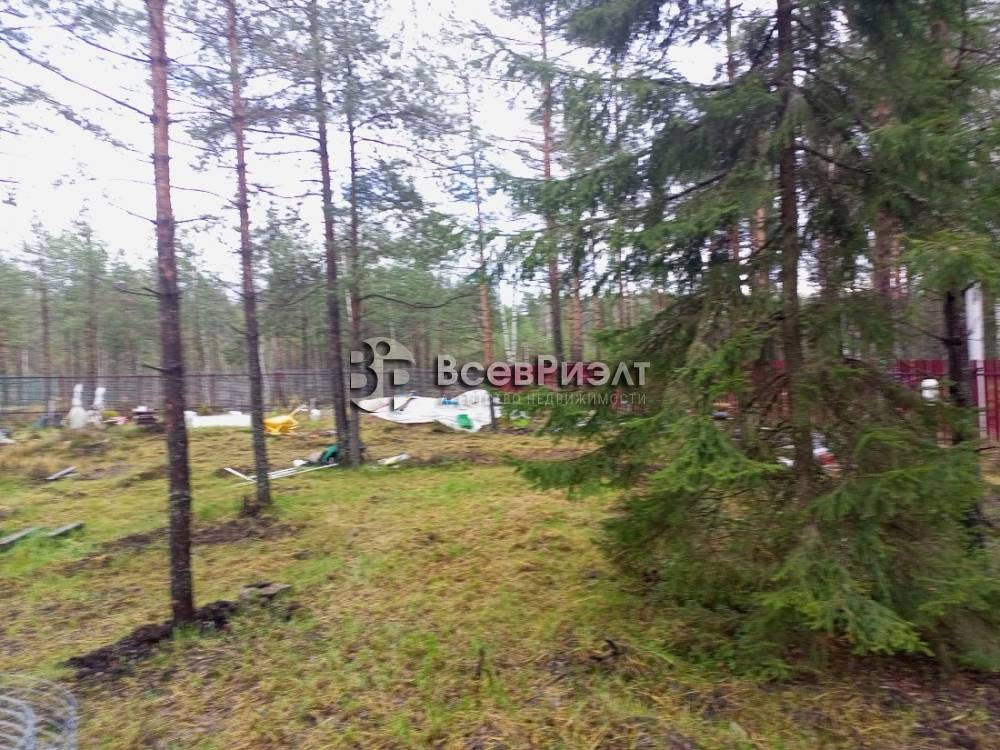 img_20251104_124833_244