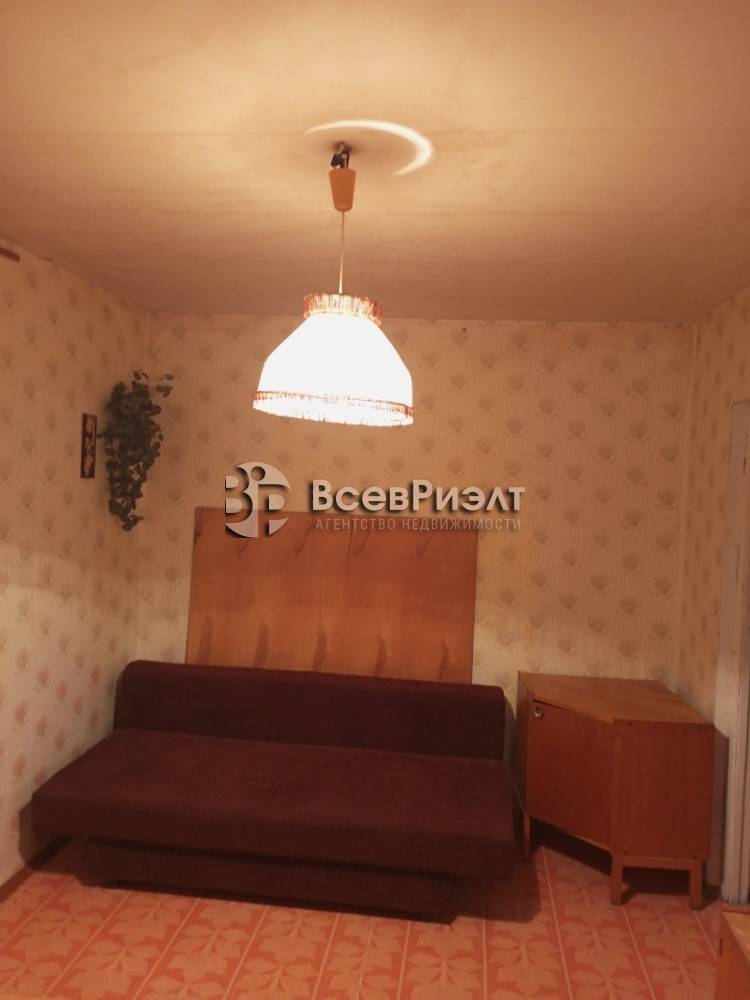 img_20251124_162851_361