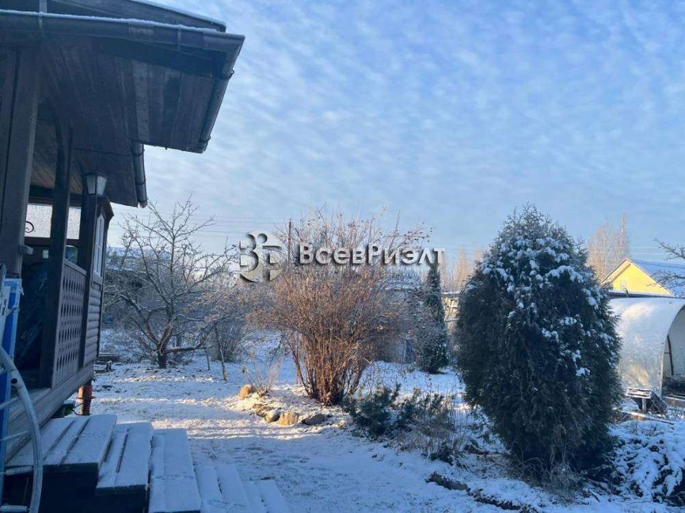 41whatsapp image 2025-12-15 at 16.17.03