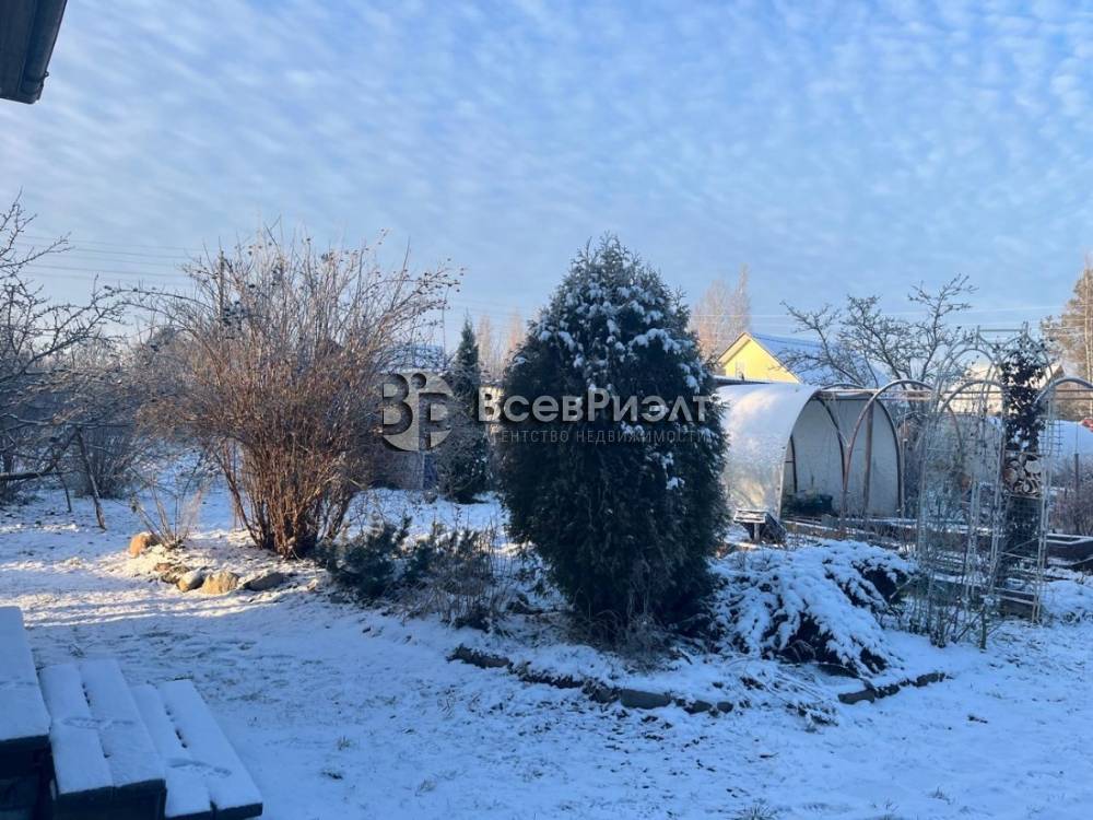 42whatsapp image 2025-12-15 at 16.17.03