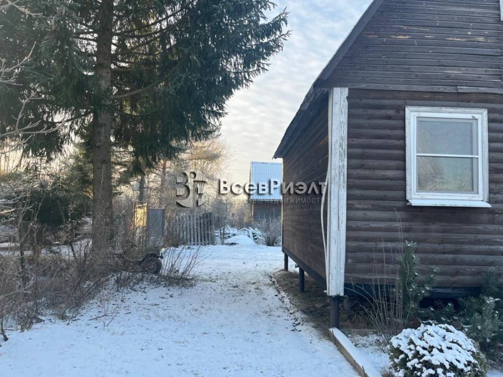 45whatsapp image 2025-12-15 at 16.17.06