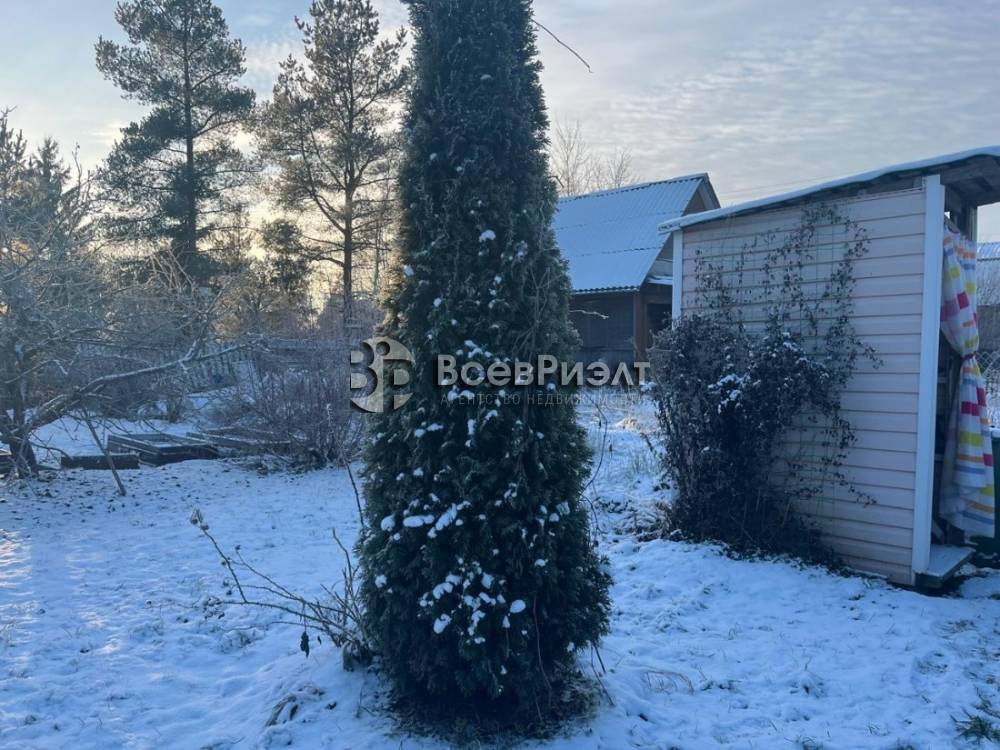 46whatsapp image 2025-12-15 at 16.17.11