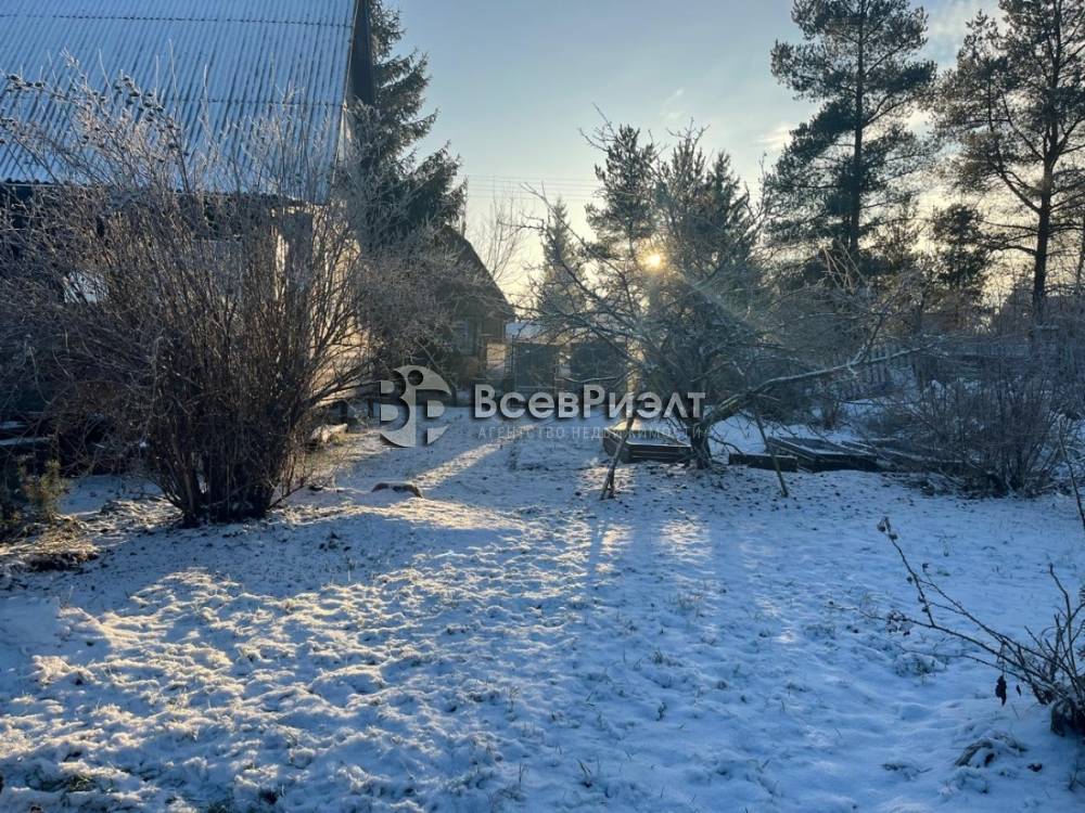 47whatsapp image 2025-12-15 at 16.17.12