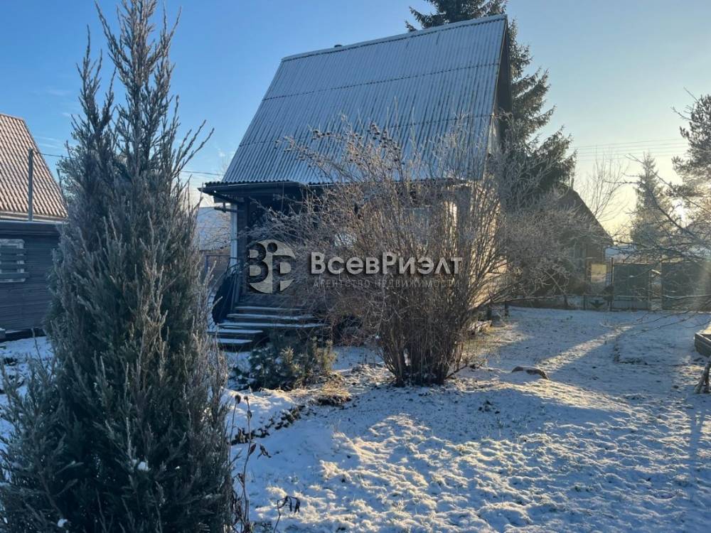 49whatsapp image 2025-12-15 at 16.17.14