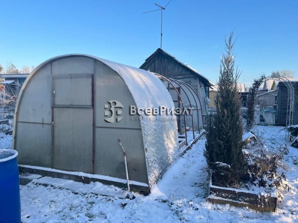 50whatsapp image 2025-12-15 at 16.17.15