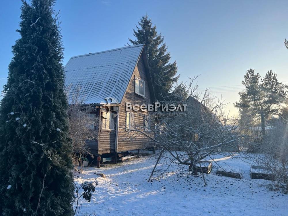 51whatsapp image 2025-12-15 at 16.17.16