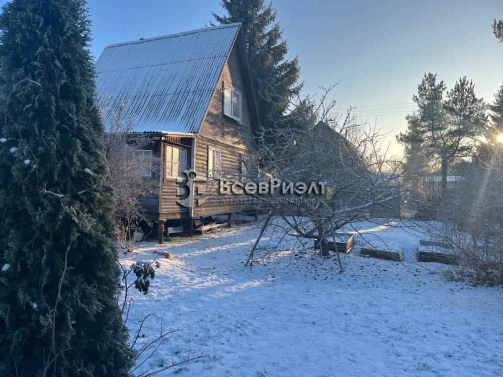 52whatsapp image 2025-12-15 at 16.17.17