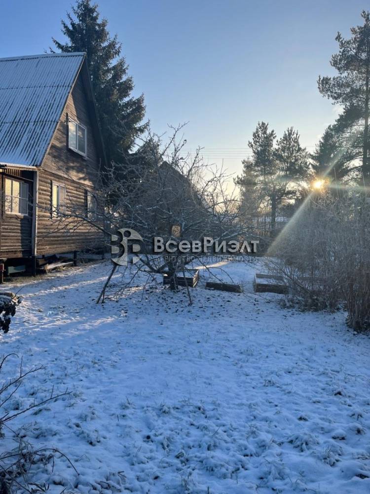 53whatsapp image 2025-12-15 at 16.17.18