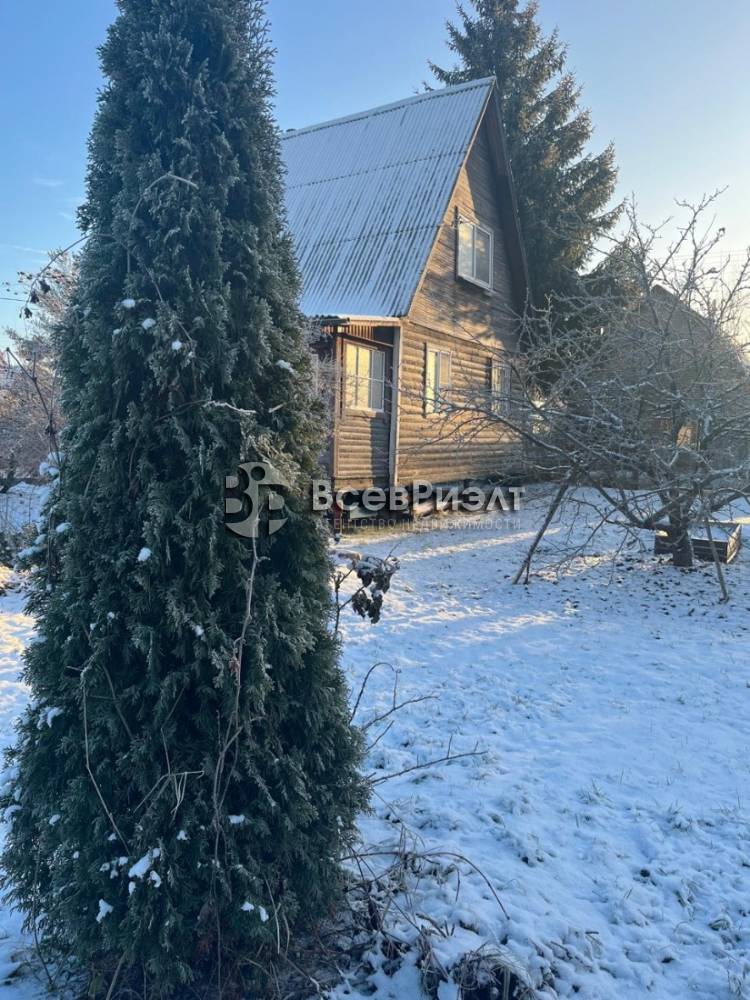 54whatsapp image 2025-12-15 at 16.17.19