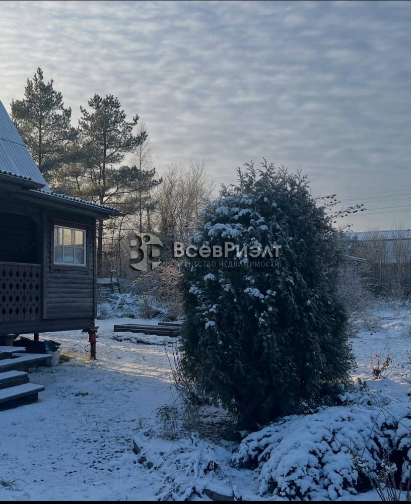 61whatsapp image 2025-12-15 at 16.12.18