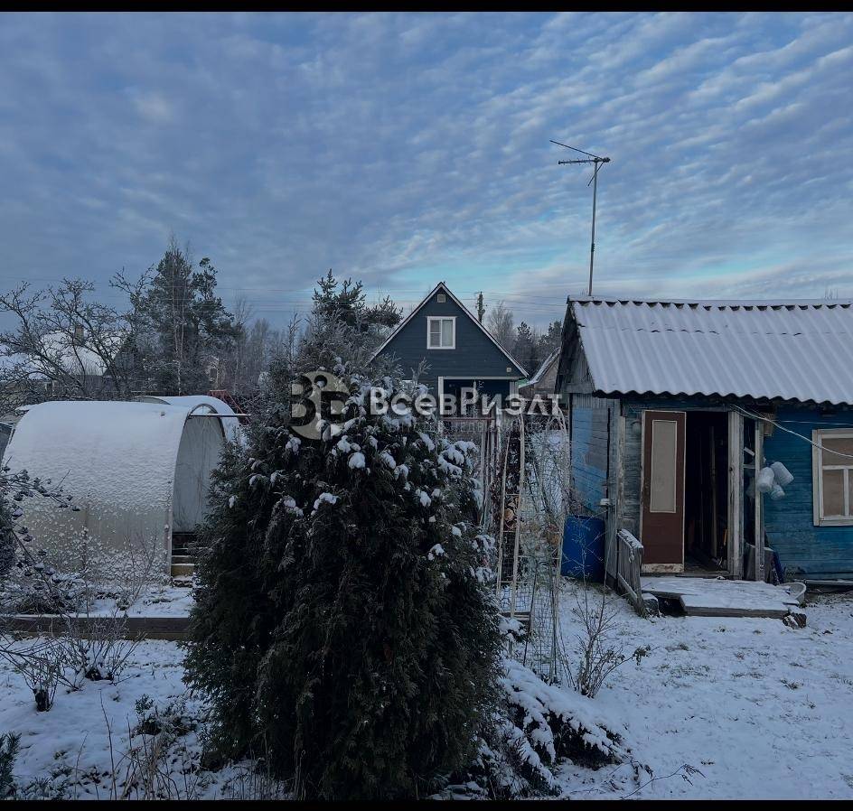 62whatsapp image 2025-12-15 at 16.15.17