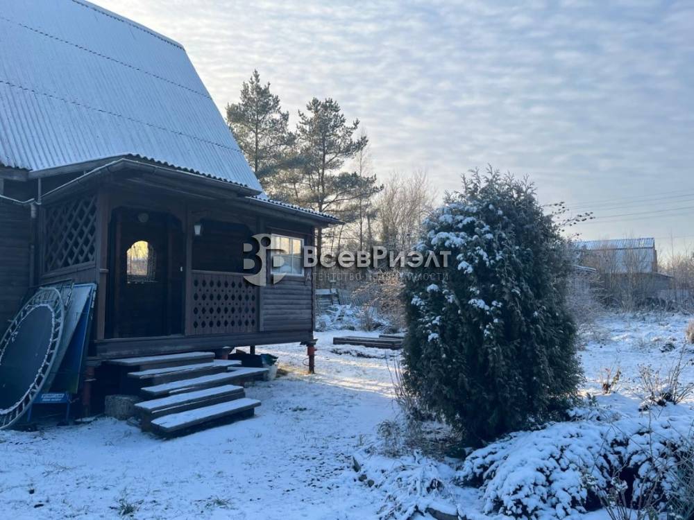 35whatsapp image 2025-12-15 at 16.16.58