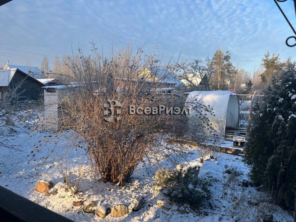 38whatsapp image 2025-12-15 at 16.17.00