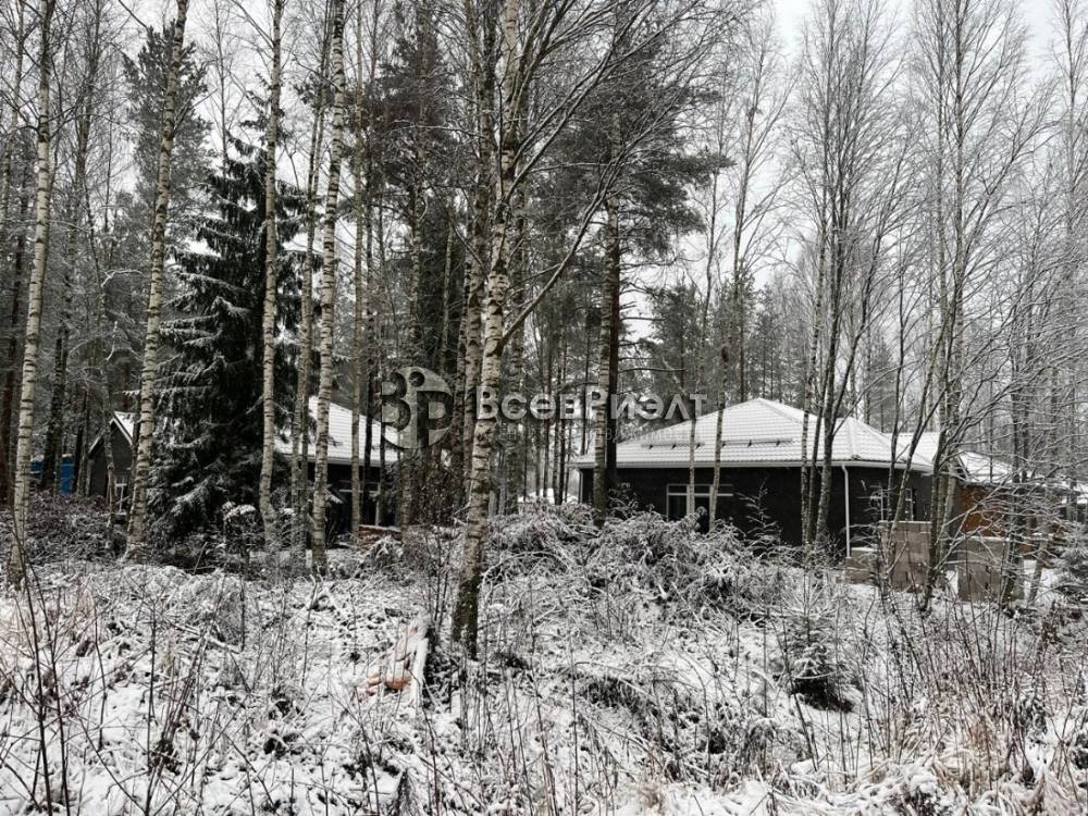 29whatsapp image 2025-12-17 at 20.50.33