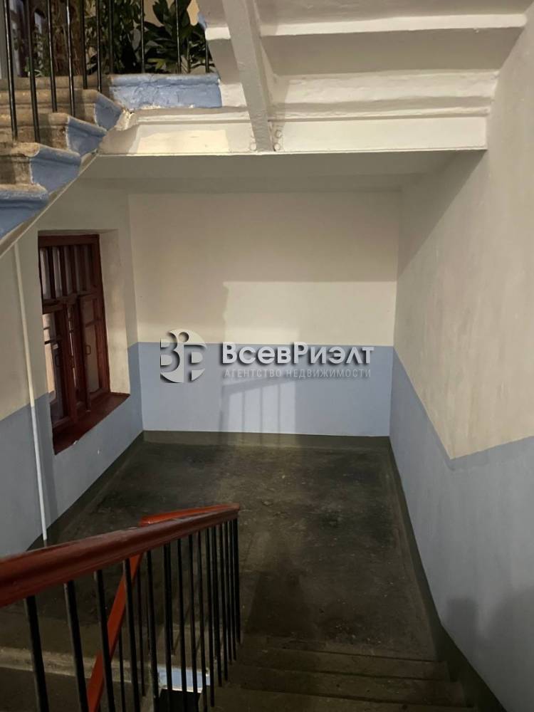 12photo_2026-01-29_12-37-02