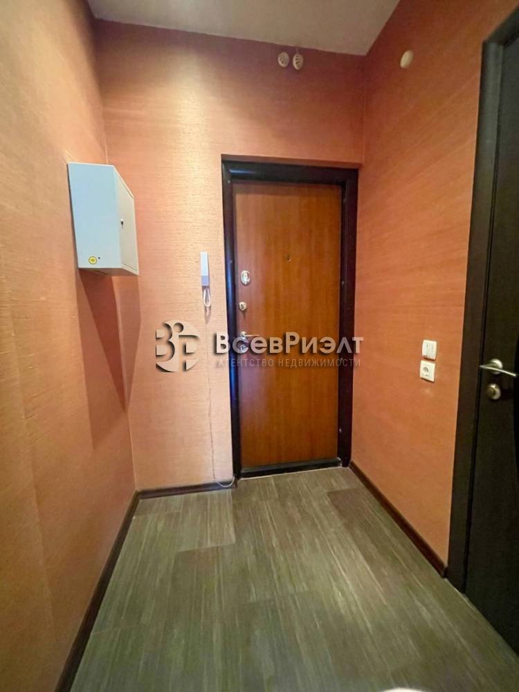 7photo_2026-02-05_11-09-18