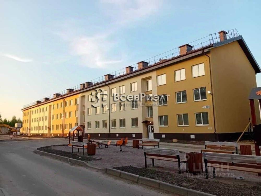 изображение whatsapp 2024-07-18 в 12.46.48_bbf0c95a