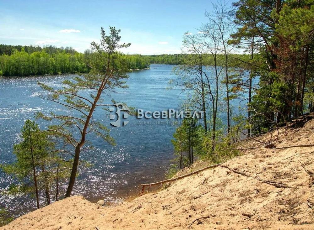 11photo_2026-02-05_16-52-17