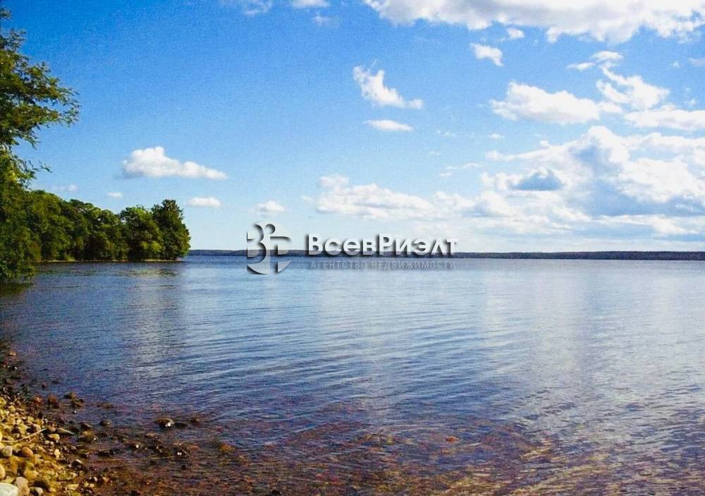 12photo_2026-02-05_16-52-18