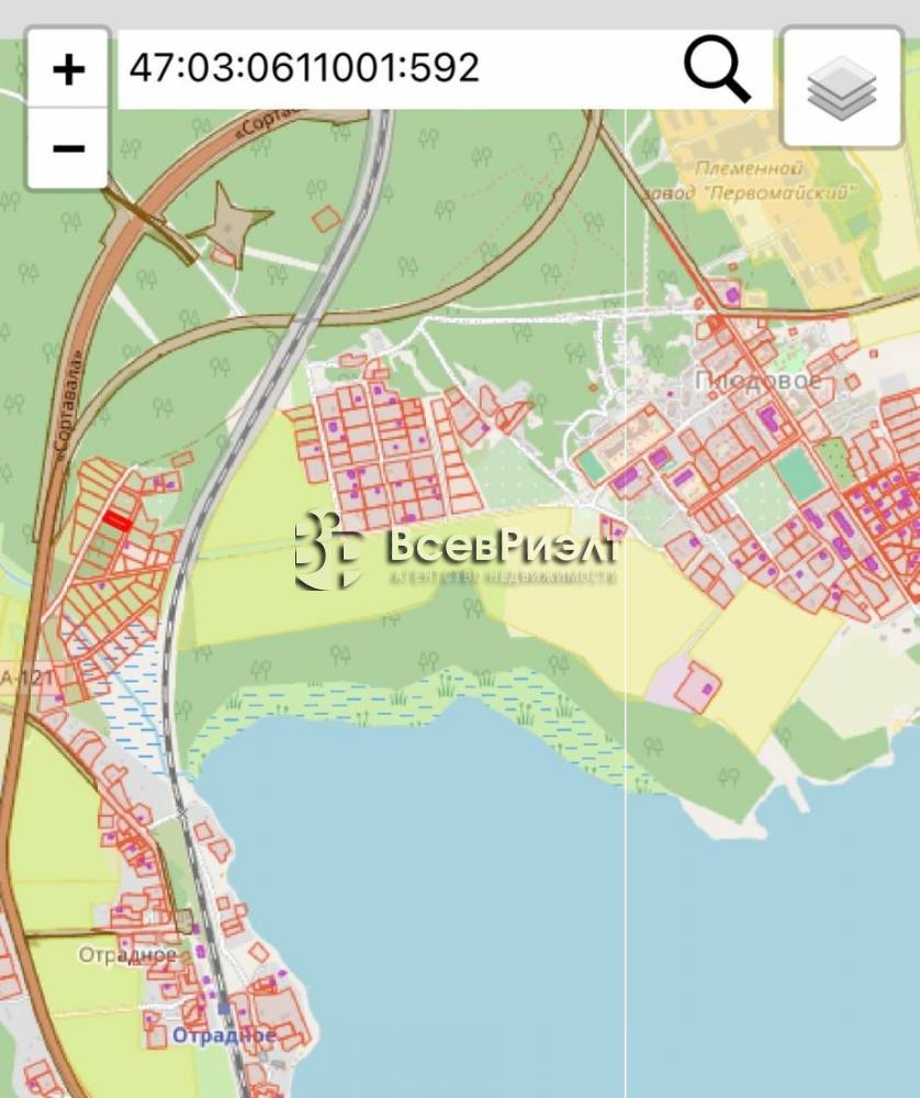 9photo_2026-02-05_16-52-13