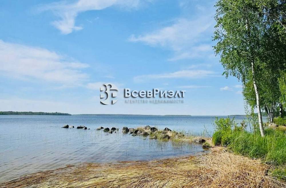 13photo_2026-02-05_16-52-20