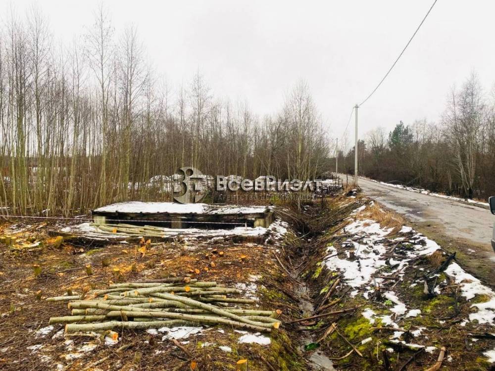 3photo_2026-02-05_16-52-05