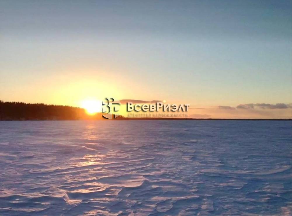 4photo_2026-02-05_16-52-06