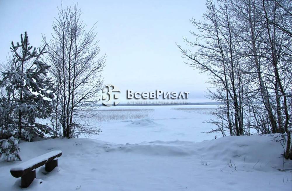 5photo_2026-02-05_16-52-08